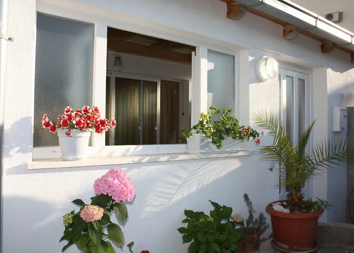 Apartment Anand