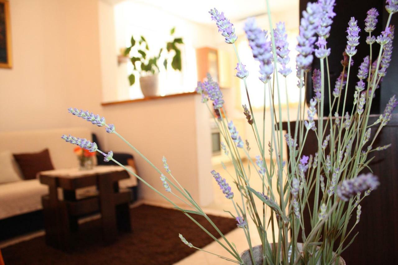 Appartement Anand